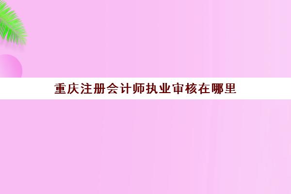 重庆注册会计师执业审核在哪里(重庆注册会计师网上报名)
