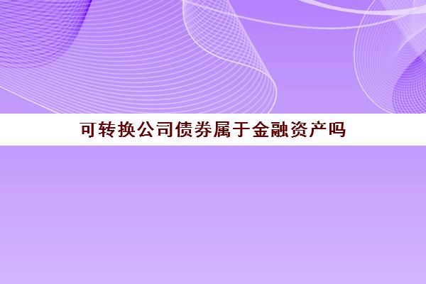 可转换公司债券属于金融资产吗