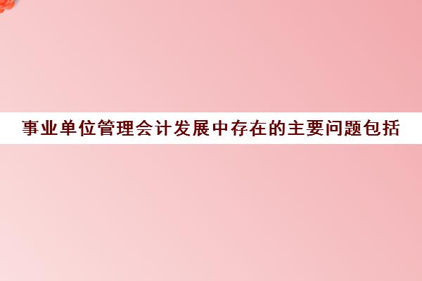 事业单位管理会计发展中存在的主要问题包括