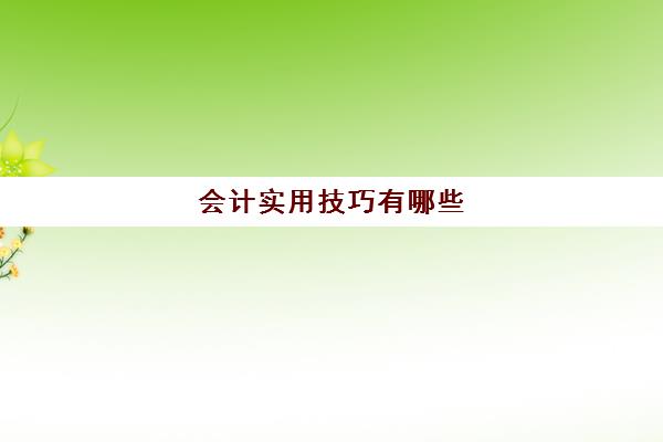 会计实用技巧有哪些