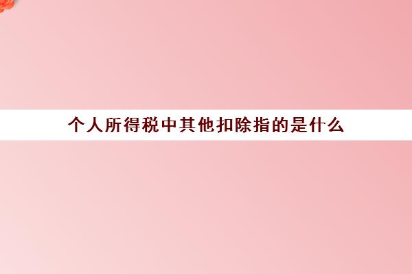 个人所得税中其他扣除指的是什么(个税中的其他扣除是怎样算出来的)