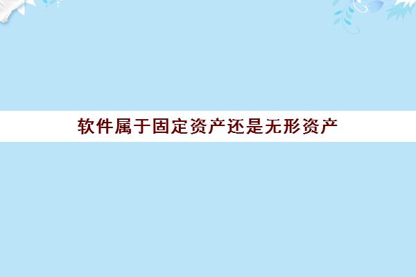 软件属于固定资产还是无形资产(软件算是无形资产吗)