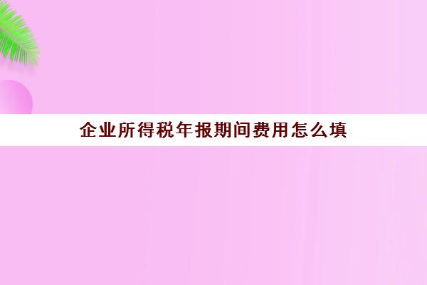 企业所得税年报期间费用怎么填(所得税年报期间费用明细表)