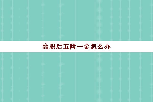 离职后五险一金怎么办(离职后五险一金怎么办理转移本地)