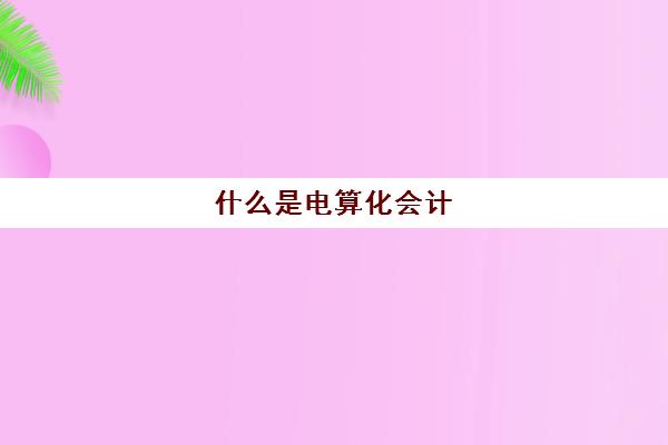 什么是电算化会计(电算化会计含义)