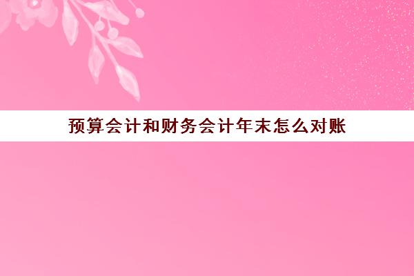 预算会计和财务会计年末怎么对账(预算会计年终怎样结账)