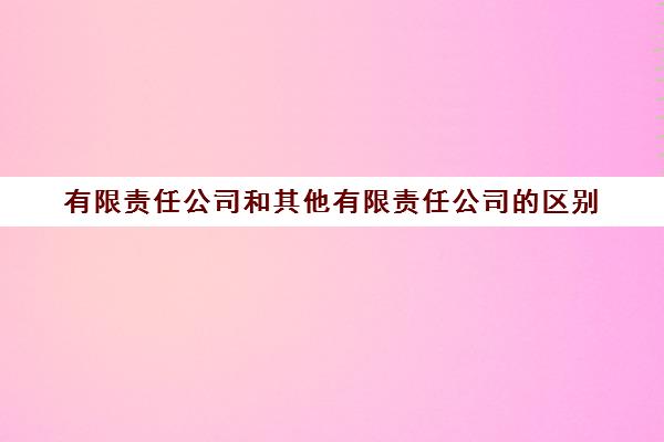 有限责任公司和其他有限责任公司的区别(有限责任公司和其他有限责任公司一样吗)