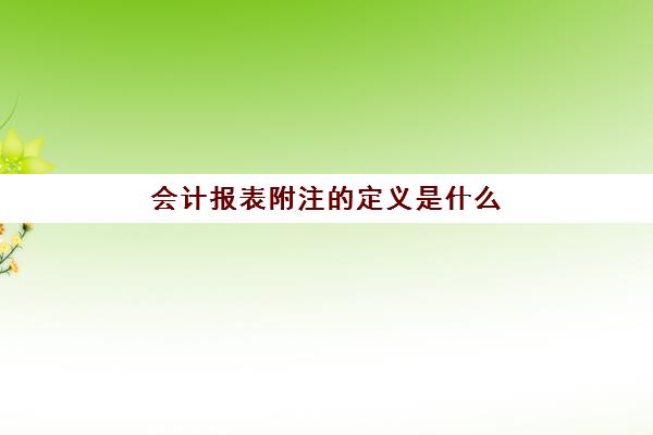 会计报表附注的定义是什么(会计报表附注包括)