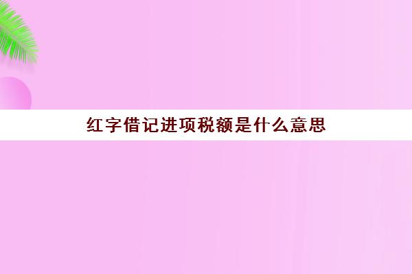 红字借记进项税额是什么意思(借方红字)