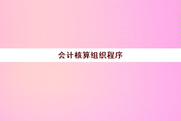 会计核算组织程序(会计核算组织程序)