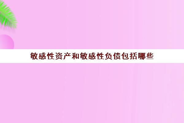 敏感性资产和敏感性负债包括哪些