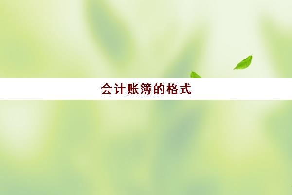 会计账簿的格式(会计账簿的格式和适用范围)