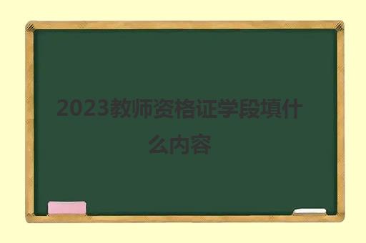 2023教师资格证学段填什么内容(教师资格证学段怎么填)