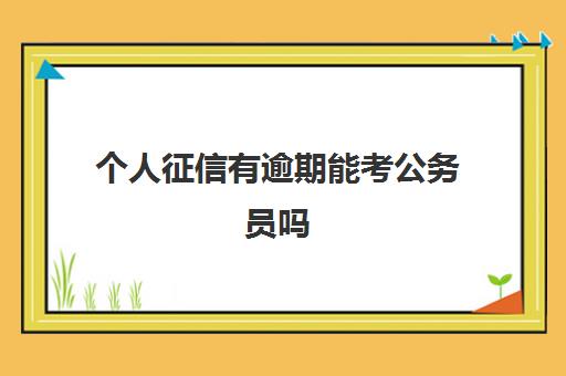 个人征信有逾期能考公务员吗 征信有逾期能考公务员吗