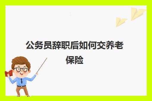 公务员辞职后如何交养老保险 公务员辞职后养老保险可以自己交吗