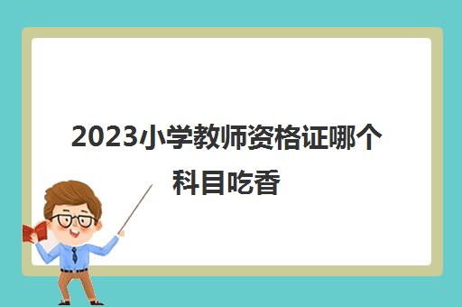 2023小学教师资格证哪个科目吃香(小学教资考什么科目好)