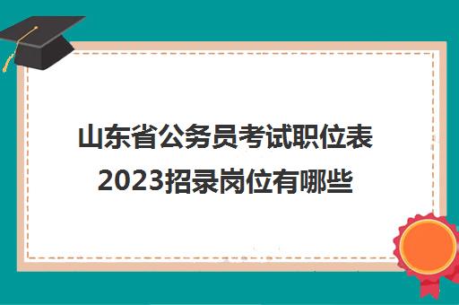 山东省公务员考试职位表2023招录岗位有哪些(2022年山东公务员招聘职位表)