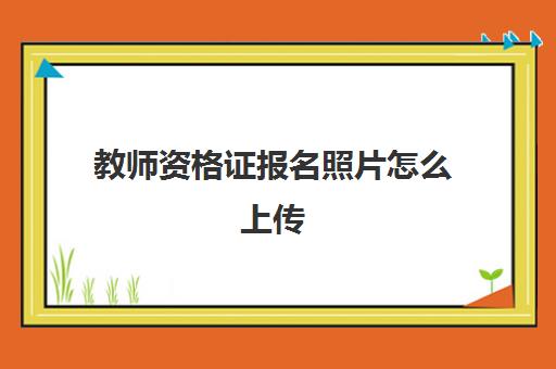 教师资格证报名照片怎么上传,教师资格考试照片传错了怎么解决