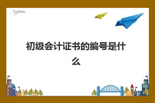 初级会计证书的编号是什么(初级会计证书的编号是什么意思)