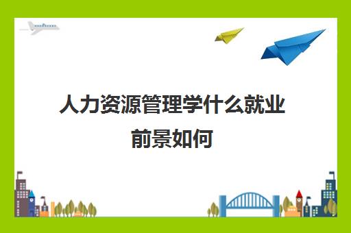 人力资源管理学什么就业前景如何