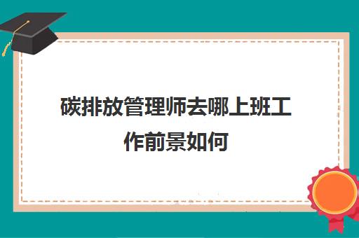 碳排放管理师去哪上班工作前景如何