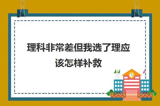 理科但我选了理应该怎样补救(理科选理科有救吗)