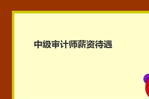 中级审计师薪资待遇(中级审计师薪资待遇如何)