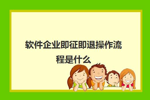 软件企业即征即退操作流程是什么(软件企业即征即退条件)