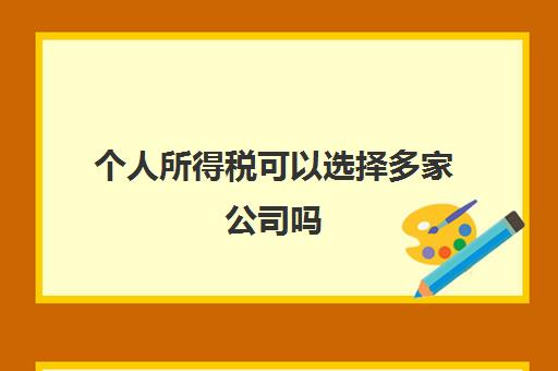 个人所得税可以选择多家公司吗(个人所得税多个公司)