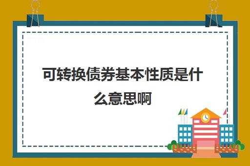 可转换债券基本性质是什么意思啊