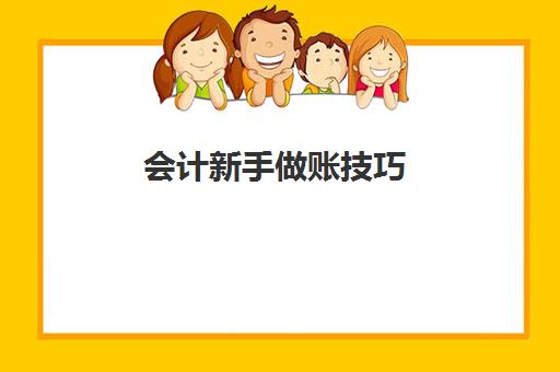 会计新手做账技巧(新手会计做账教程大全)