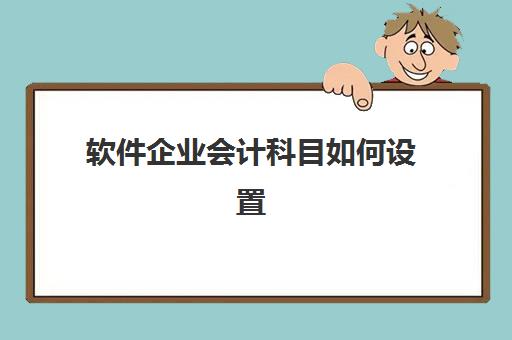 软件企业会计科目如何设置(软件企业 科目)