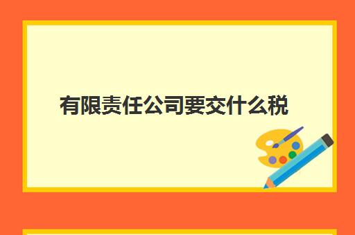 有限责任公司要交什么税(有限责任公司要交哪些税种)