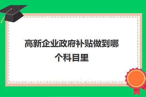 高新企业政府补贴做到哪个科目里(高新企业的政府补贴要交所得税吗)