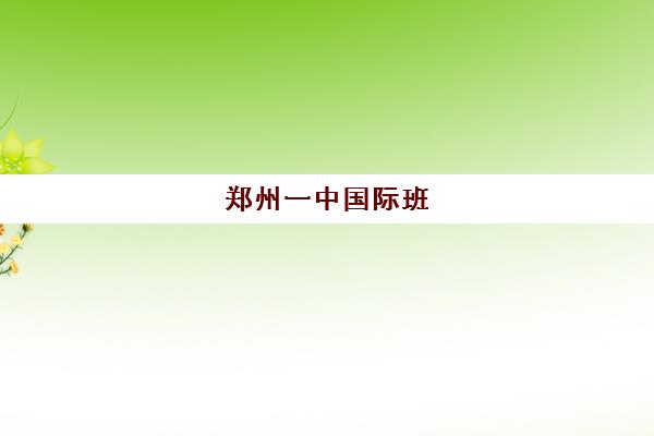 郑州一中国际班(郑州高中排名一览表)