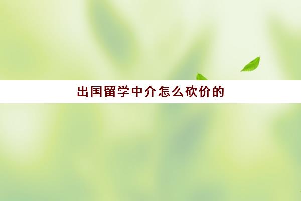 出国留学中介怎么砍价的(出国留学找中介需要注意哪些事项)