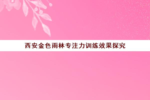 西安金色雨林专注力训练效果探究