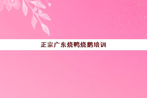 正宗广东烧鸭烧鹅培训(重庆荣昌卤鹅哪家最好)