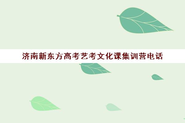 济南新东方高考艺考文化课集训营电话(济南艺考培训机构排行榜前十)