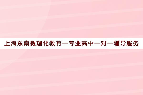 上海东南数理化教育—专业高中一对一辅导服务