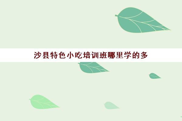 沙县特色小吃培训班哪里学的多(沙县小吃是哪个省的美食)