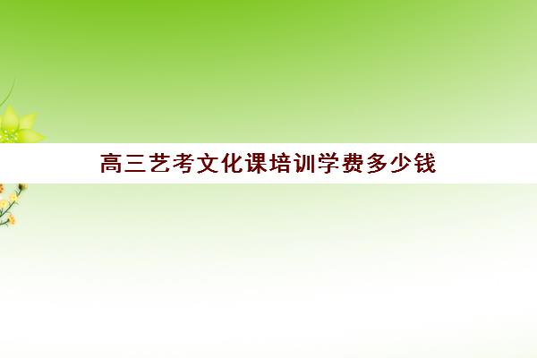 高三艺考文化课培训学费多少钱(艺考后文化课培训机构价格)