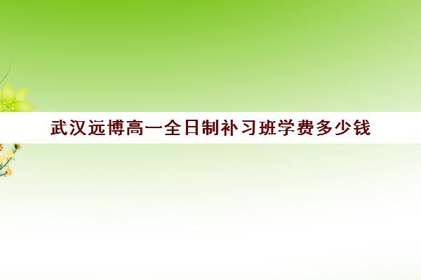 武汉远博高一全日制补习班学费多少钱