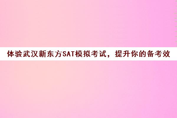 体验武汉新东方SAT模拟考试，提升你的备考效率