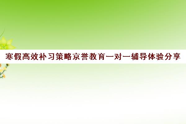 寒假高效补习策略京誉教育一对一辅导体验分享