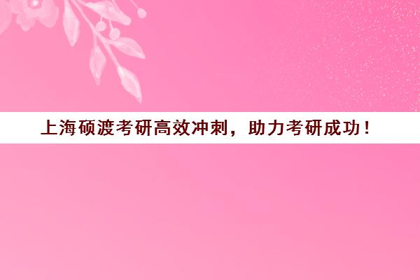 上海硕渡考研高效冲刺，助力考研成功！