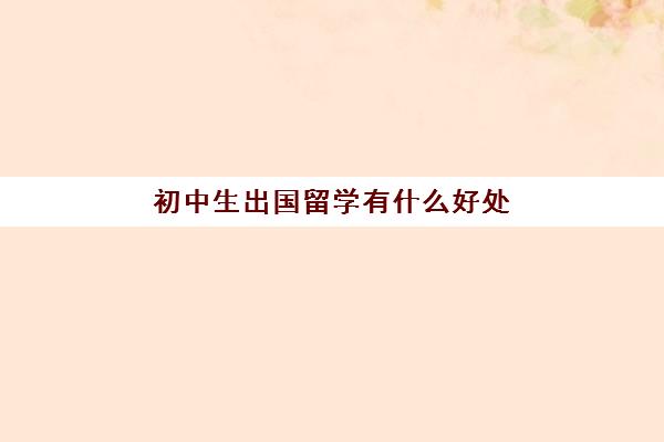 初中生出国留学有什么好处(初中学历可以出国吗)