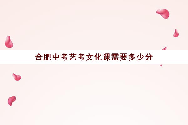 合肥中考艺考文化课需要多少分(合肥艺术中学录取分数线)