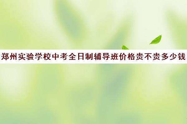 郑州实验学校中考全日制辅导班价格贵不贵多少钱一年(郑州初中培训班哪个比较好)