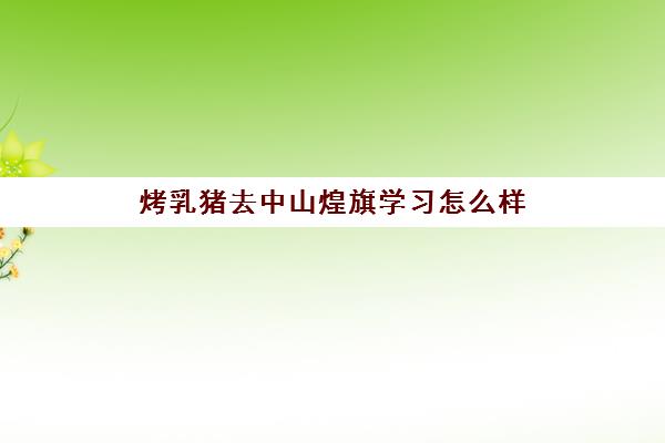 烤乳猪去中山煌旗学习怎么样